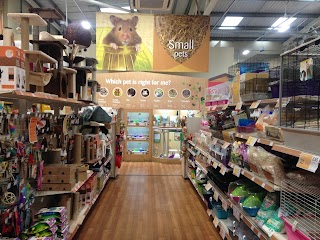 Pets at Home Battersea