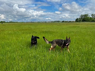 Rookery Lodge Complete Canine Care