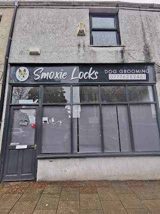 Smoxie Locks Dog Grooming