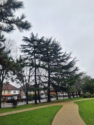 Wildflower Meadow at Jubilee Park