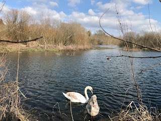 Bishop's Waltham Pond