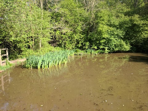 Hartshill Park