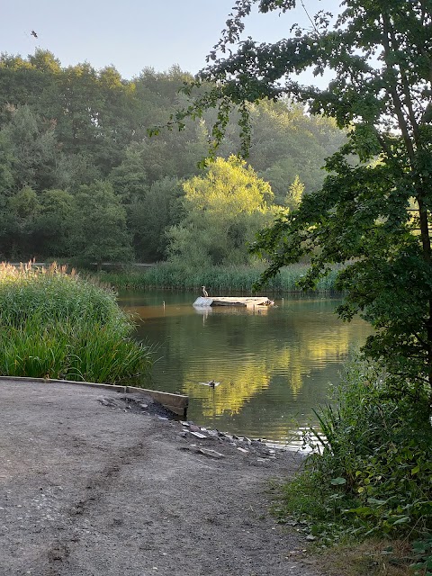 Baggeridge Country Park