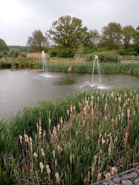 Nando's Cobham Services