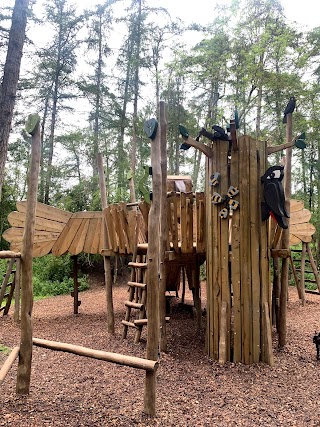 Eagle multi play unit