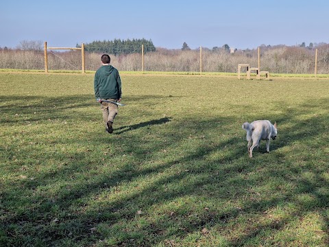 Paw Paddock - Wickham