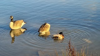 Clayhole Park