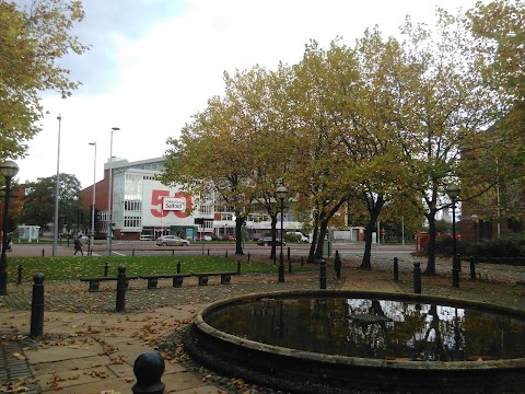 Salford Institute for Public Policy