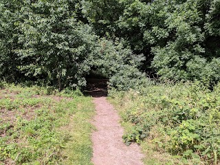 Caraway Drive Open Space