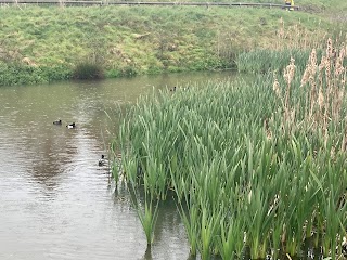 Balancing Pond