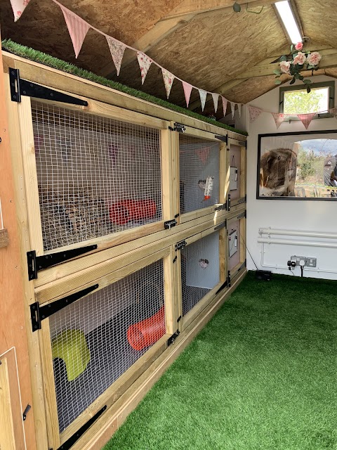 Dandelion Cottage Rabbit and Guinea Pig Boarding