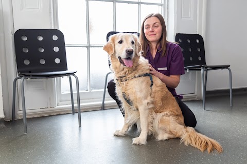 Fivelands Veterinary Centre