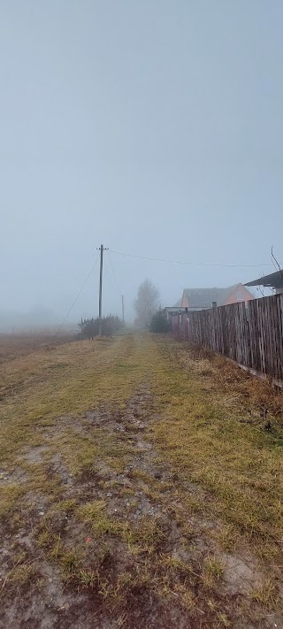 с. Ясногородка (Школа)