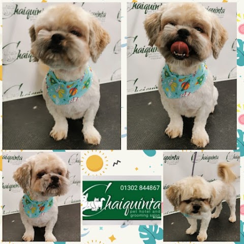 Chaiquinta Pet Hotel and Grooming Salon