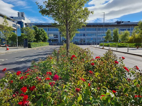 Dublin City University