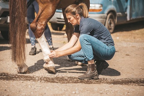 Bescoby Equine Vets