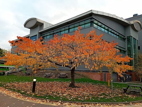 Biodiscovery Institute