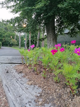 Ward Park Playing Fields And Garden