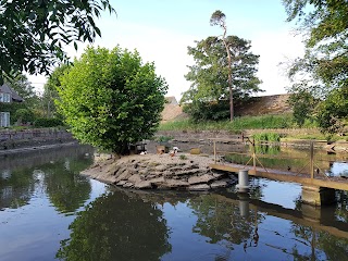 Alderton Duck Pond