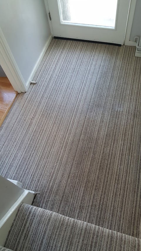 Absorb Carpet Cleaning