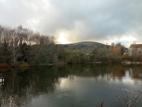 Springfield Dam and Park