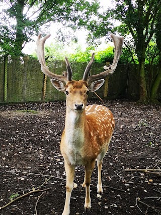 Wildlife Rescue & Ambulance Service (Enfield)