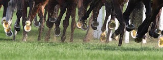 Walnut Hill Equine Veterinary Clinic