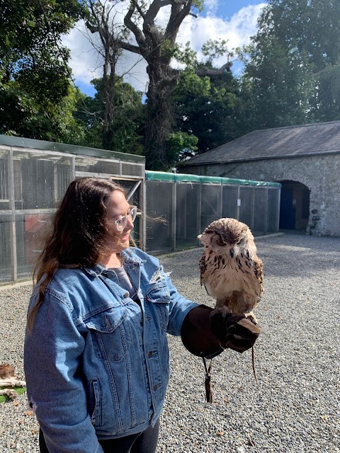 Dublin Falconry