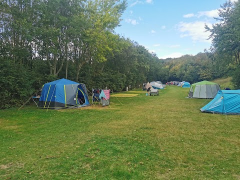 Brighton Caravan and Motorhome Club Campsite