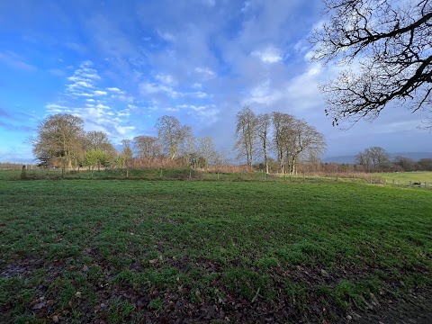 National Bird of Prey Centre