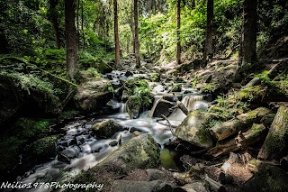 Wyming Brook