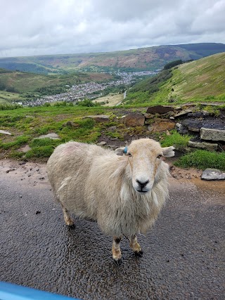 Bwlch Mountain