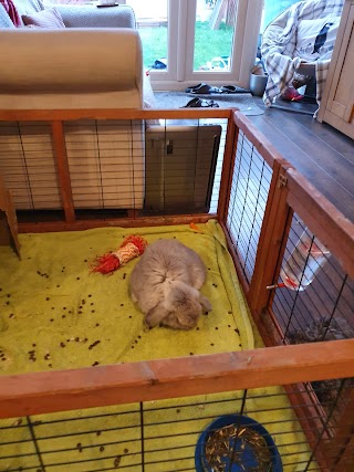 Yorkshire Rabbit Boarding