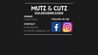 Mutz and Cutz Dog Grooming Studio Chester