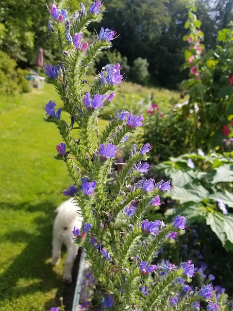 Helen's Bay Organic