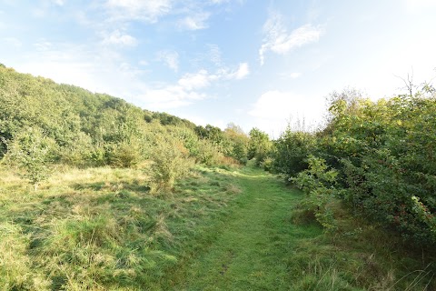 Cotwall End Local Nature Reserve