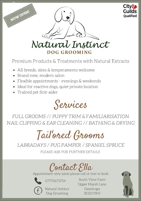 Natural Instinct Dog Grooming