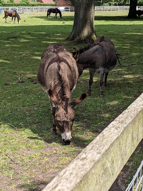 Sheldon Country Park