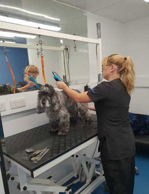 Poocilicious Dog Groomers