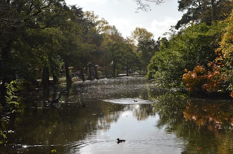 Roath Park Wild Gardens