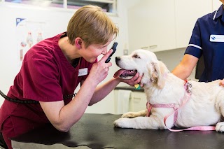 Gornal Veterinary Centre