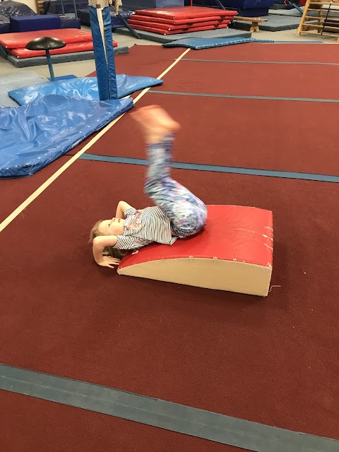 T50 Gymnastics