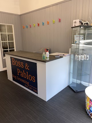 Boss & Pablos Dog Grooming