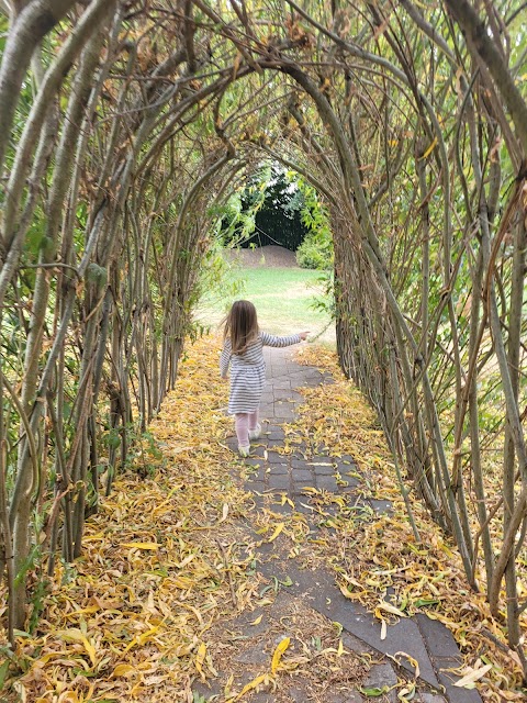 Cherry Lane Adventure Playground