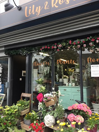 Lily & Rose Florist