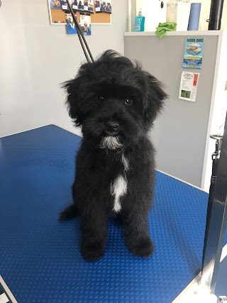 Pretty Puppies Dog Grooming