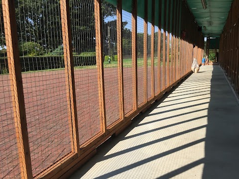 Harwyn Boarding Cattery