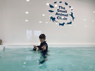 The Small Animal Clinic Canine Hydrotherapy and Animal Massage