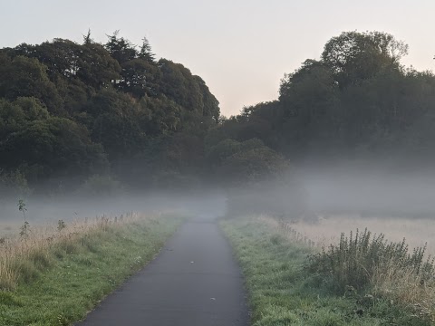 Beeslack Wood