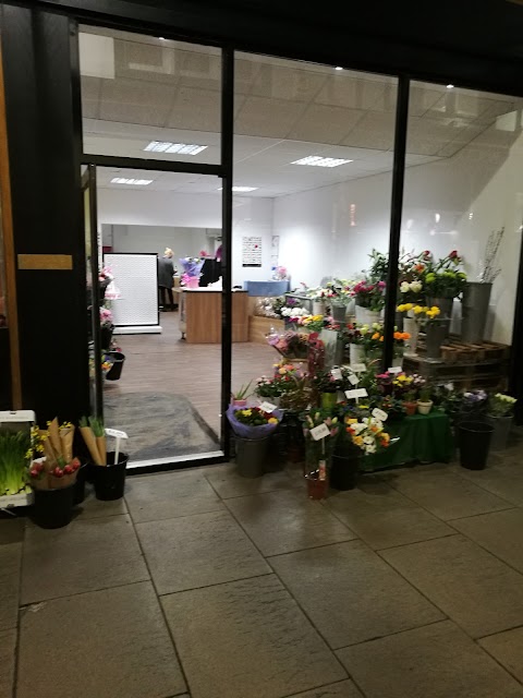 Arcade Florist